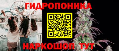 прущие грибы Северобайкальск