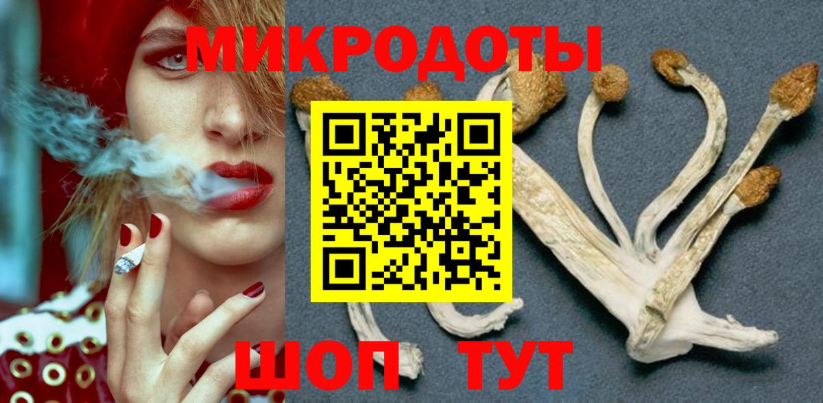 Галлюциногенные грибы Psilocybe Гусь-Хрустальный