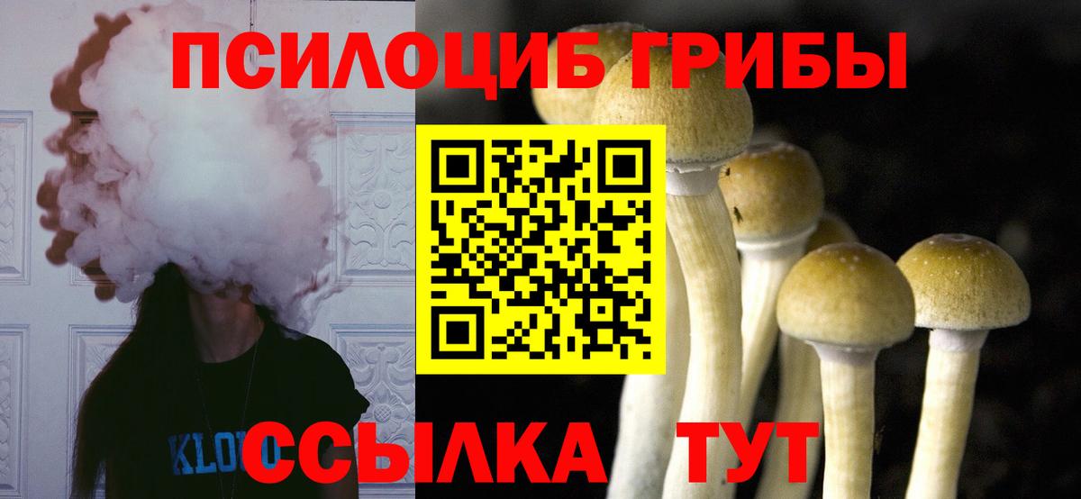 Галлюциногенные грибы мицелий  как найти закладки  Гусь-Хрустальный  Вход с VPN 
